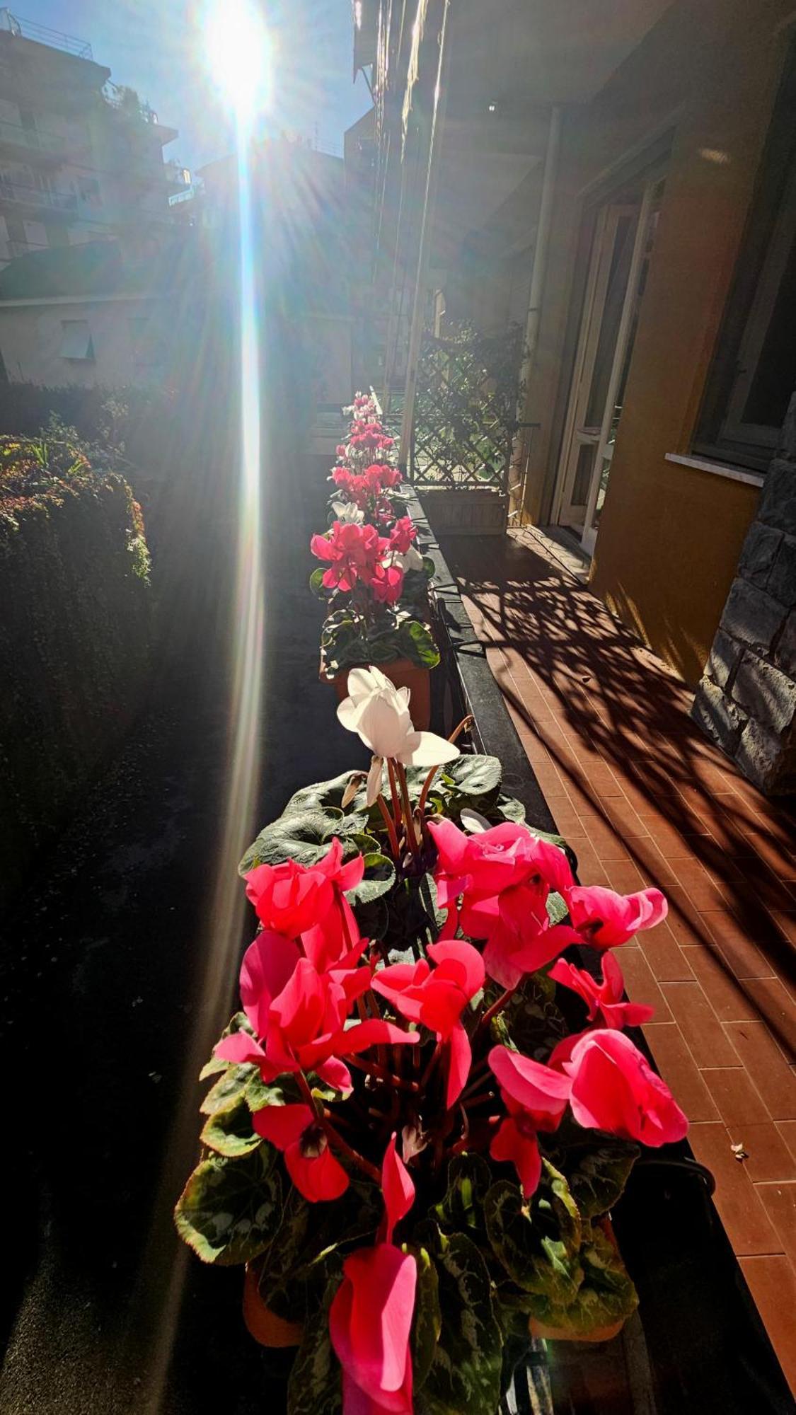 Ferienwohnung Casa Con Giardino Vicino Al Mare Rapallo Exterior foto